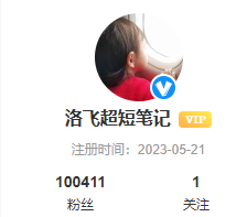 洛飞超短笔记-66课程-噜噜资讯