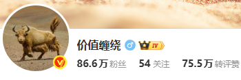 价值缠绕 zangyn-66课程-噜噜资讯
