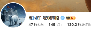 陈同辉 - 宏观策略-66课程-噜噜资讯