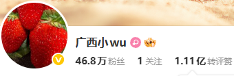 广西小 wu-66课程-噜噜资讯