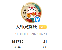 大师兄擒妖-66课程-噜噜资讯